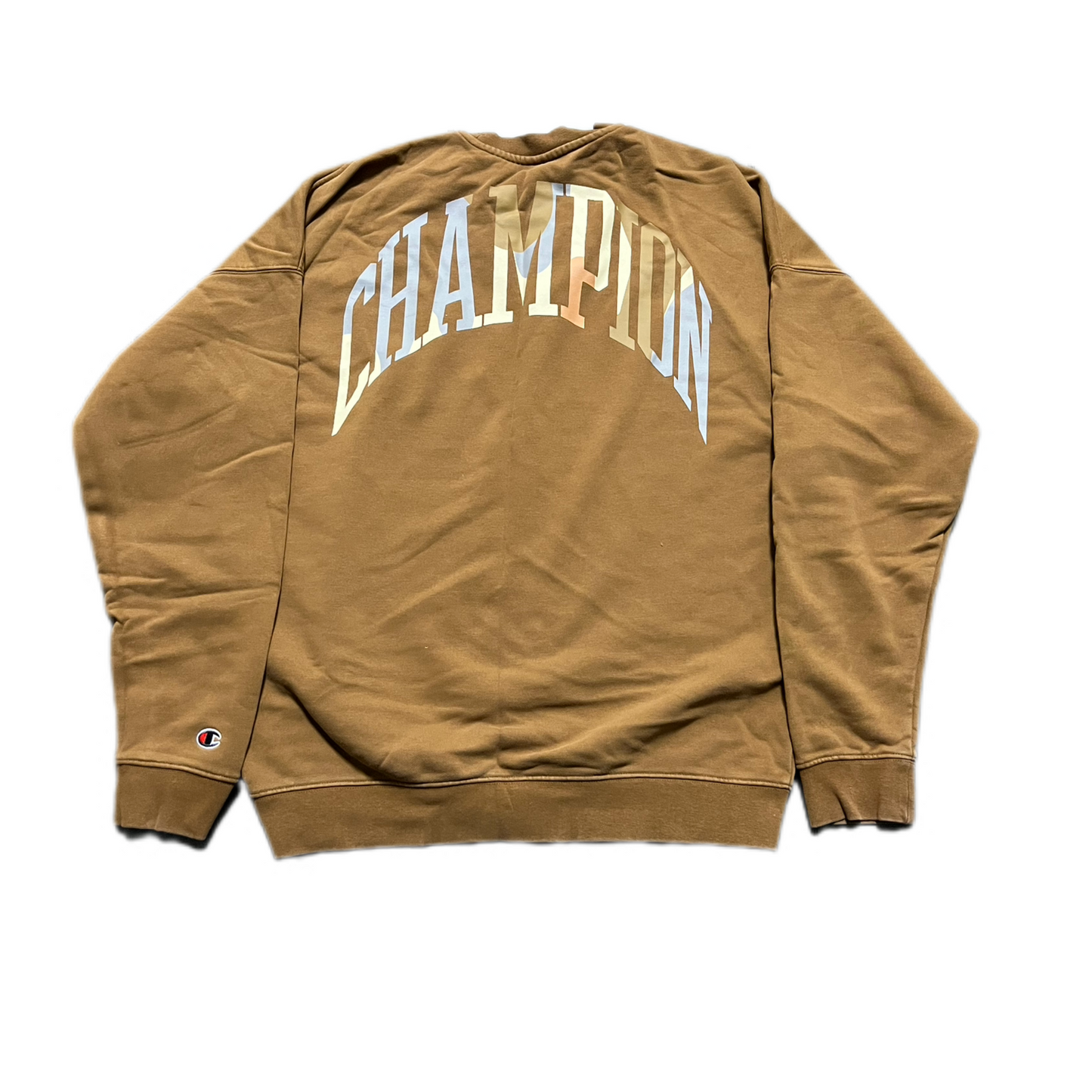 Vintage champion sweater (M)