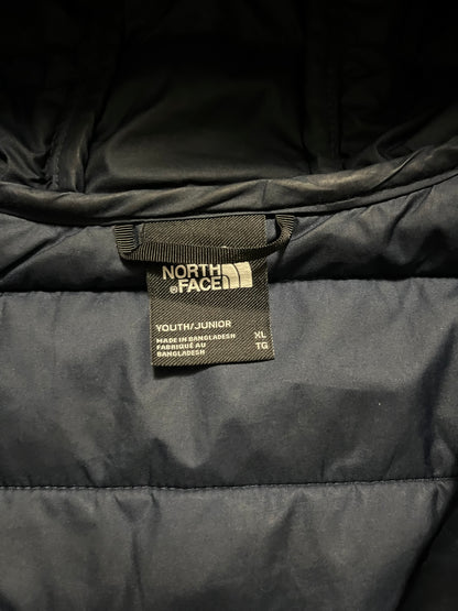 North Face Winter jacket (XL)